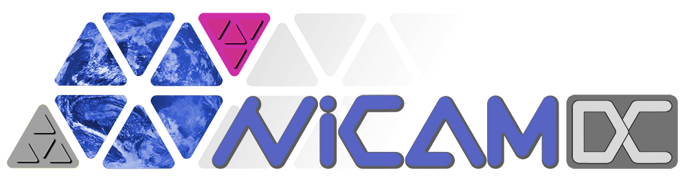 NICAMDC logo